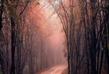 累坏了！杜兰特左小腿拉伤 至少伤停两周时间.