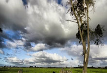 手机虎扑官网：亚冬会｜第九届亚洲冬季运动会将于7日在哈尔滨开幕2025-02-07.