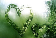 法蒂训练中右腿股二头肌受伤，缺阵约4周.